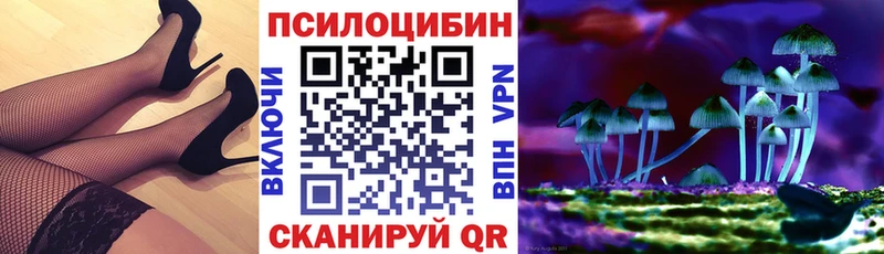 мориарти как зайти Унеча Галлюциногенные грибы MAGIC MUSHROOMS